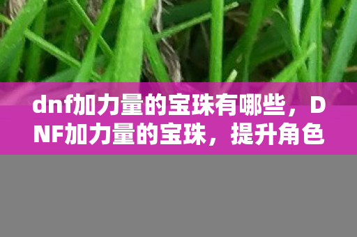 dnf加力量的宝珠有哪些图片