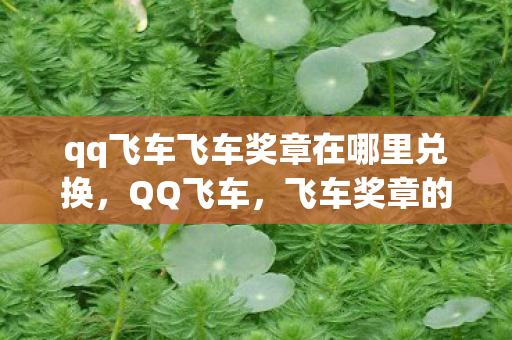 qq飞车飞车奖章在哪里兑换图片