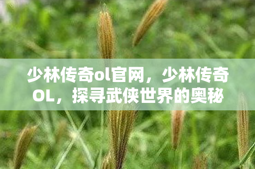 探寻武侠世界的奥秘图片