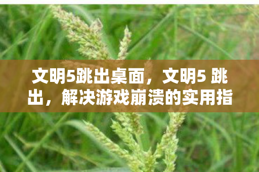 解决游戏崩溃的实用指南图片