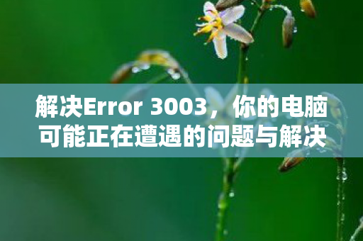 解决Error 3003，你的电脑可能正在遭遇的问题与解决方案