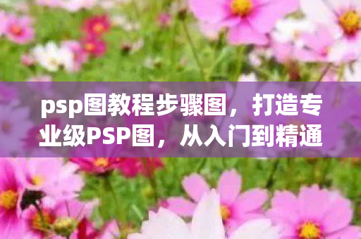 从入门到精通的详细教程图片