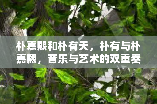 音乐与艺术的双重奏图片