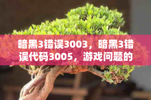 暗黑3错误3003，暗黑3错误代码3005，游戏问题的解析与解决方案