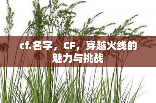 穿越火线的魅力与挑战图片