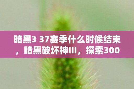 暗黑3 37赛季什么时候结束，暗黑破坏神III，探索300级巅峰之路（上）