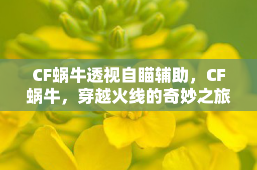 CF蜗牛透视自瞄辅助图片