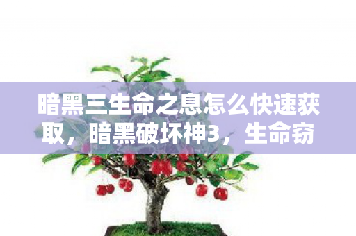 暗黑三生命之息怎么快速获取，暗黑破坏神3，生命窃取之力