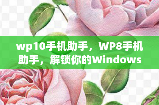 解锁你的Windows Phone 8新体验图片