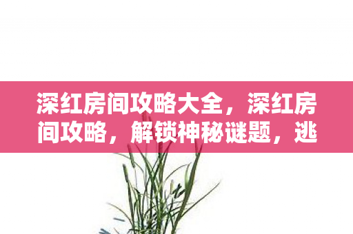 深红房间攻略大全图片