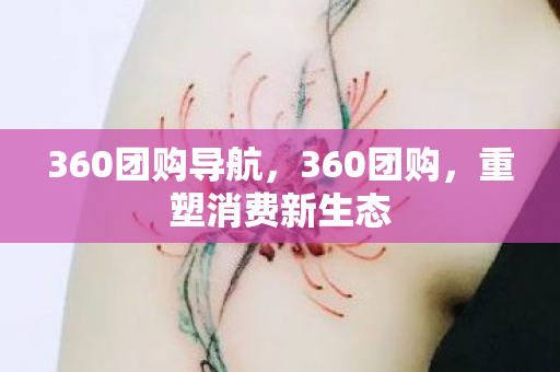 360团购导航图片