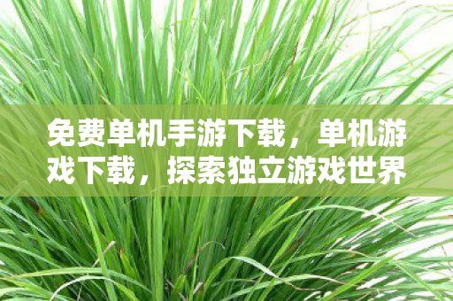 免费单机手游下载，单机游戏下载，探索独立游戏世界的魅力之旅