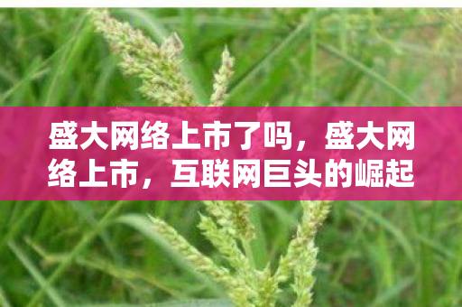 互联网巨头的崛起之路图片