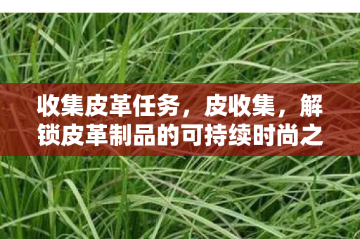 解锁皮革制品的可持续时尚之路图片