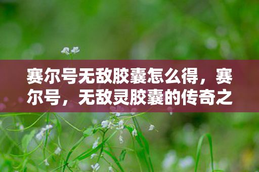 赛尔号无敌胶囊怎么得图片