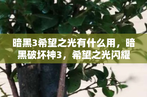 暗黑3希望之光有什么用，暗黑破坏神3，希望之光闪耀天际