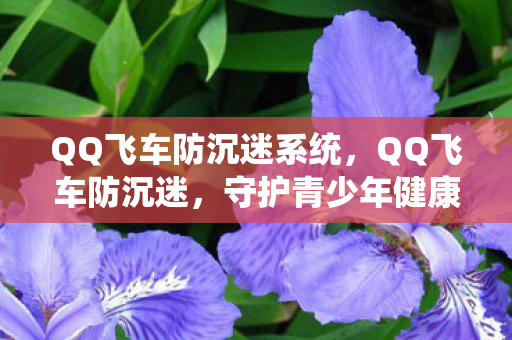 QQ飞车防沉迷系统图片
