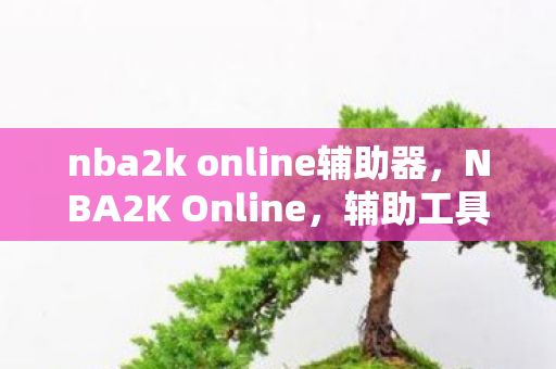 nba2k online辅助器图片