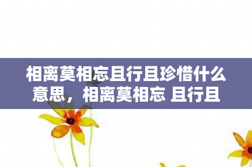 相离莫相忘且行且珍惜什么意思图片