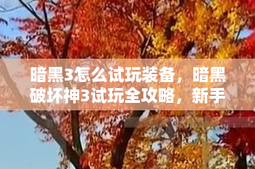 暗黑3怎么试玩装备，暗黑破坏神3试玩全攻略，新手入门、游戏技巧与心得分享
