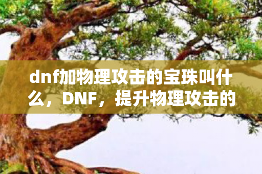 dnf加物理攻击的宝珠叫什么图片