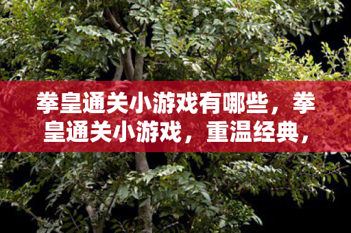 拳皇通关小游戏有哪些图片