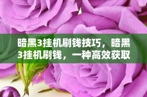 暗黑3挂机刷钱技巧，暗黑3挂机刷钱，一种高效获取游戏货币的方法揭秘