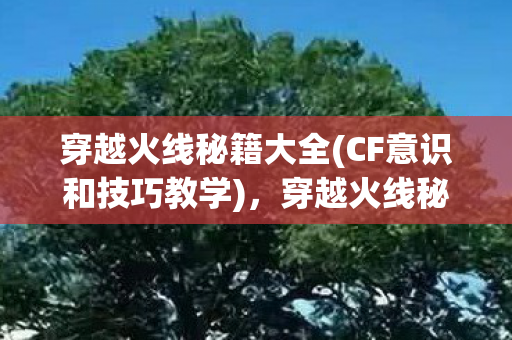 提升游戏技巧与战术策略图片