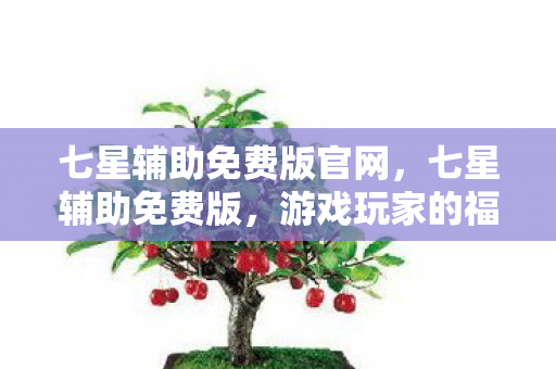 七星辅助免费版官网，七星辅助免费版，游戏玩家的福音？