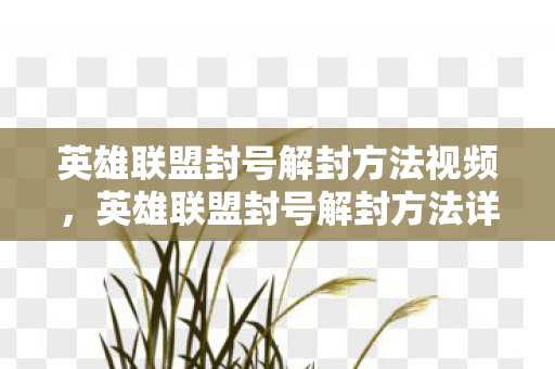 英雄联盟封号解封方法视频，英雄联盟封号解封方法详解