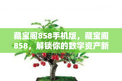 解锁你的数字资产新纪元图片