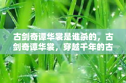 古剑奇谭华裳是谁杀的图片