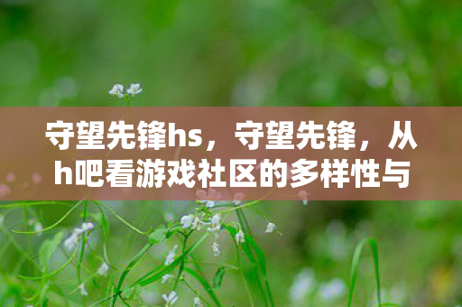 从h吧看游戏社区的多样性与包容性图片