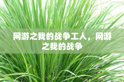 网游之我的战争工人，网游之我的战争