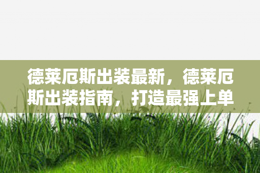 德莱厄斯出装最新图片