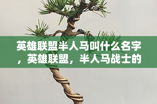 英雄联盟半人马叫什么名字图片