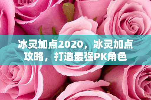 冰灵加点2020图片