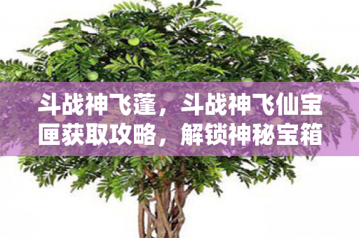 斗战神飞仙宝匣获取攻略图片