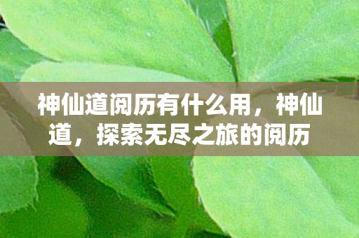 神仙道阅历有什么用图片