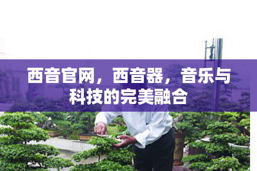 音乐与科技的完美融合图片