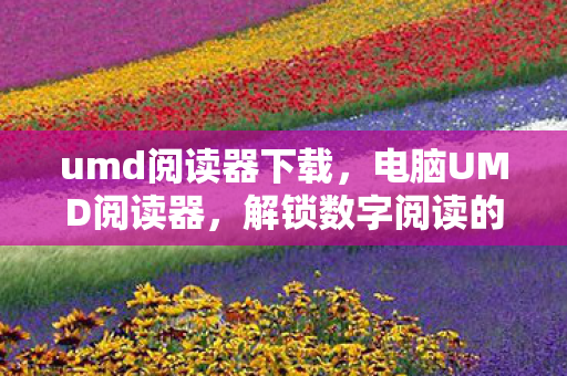 解锁数字阅读的便捷神器图片