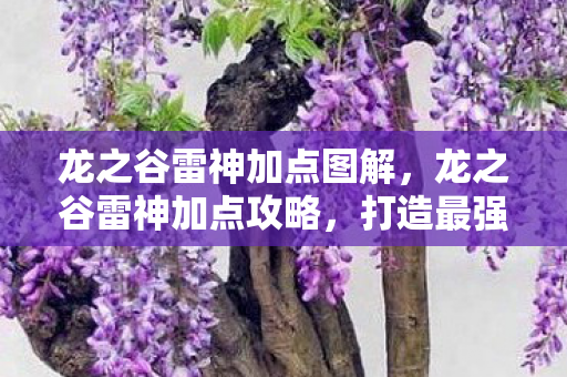 龙之谷雷神加点图解图片