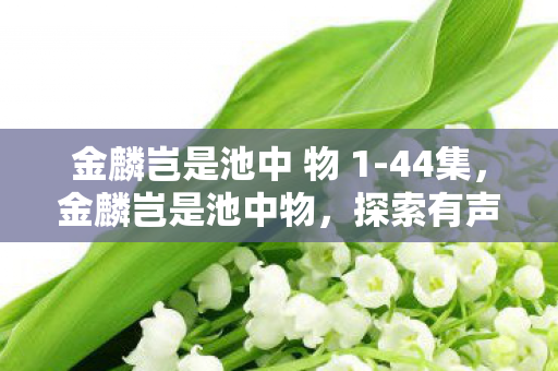 探索有声阅读的魅力与未来图片