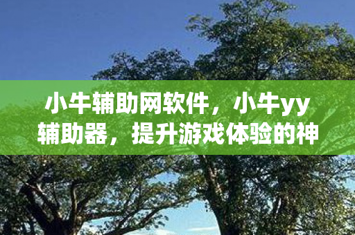 提升游戏体验的神奇工具图片