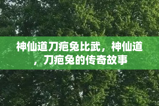 神仙道刀疤兔比武图片