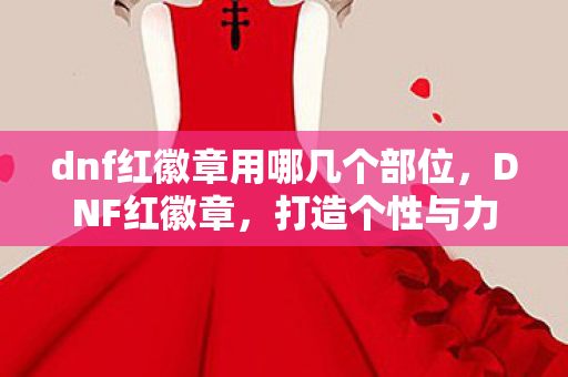 dnf红徽章用哪几个部位图片