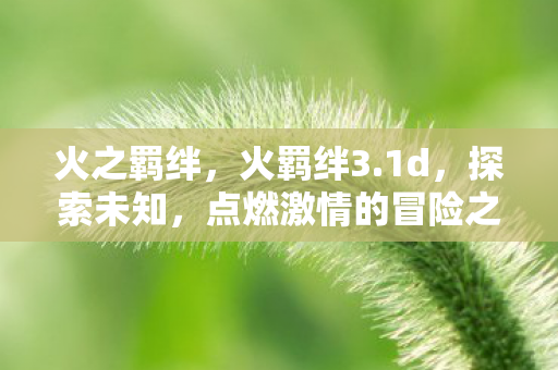 点燃激情的冒险之旅图片