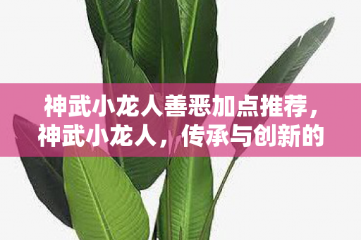 神武小龙人善恶加点推荐图片