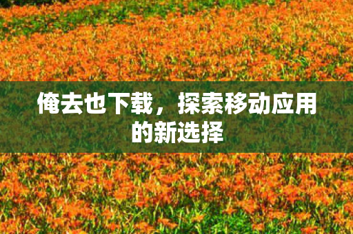 探索移动应用的新选择图片