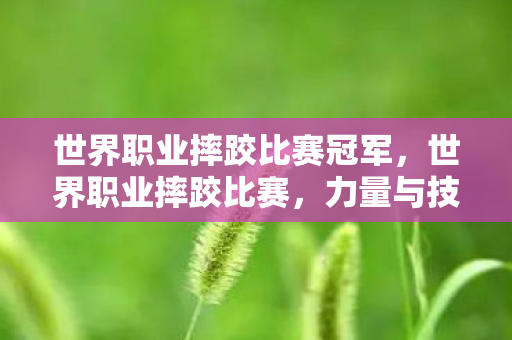 世界职业摔跤比赛冠军图片